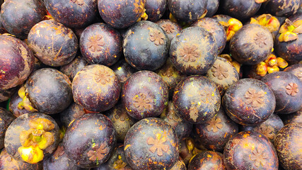 Photo of mangosteen fruit arranged and sold in supermarkets