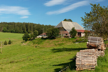 Farm near St.Peter in the Black Forest