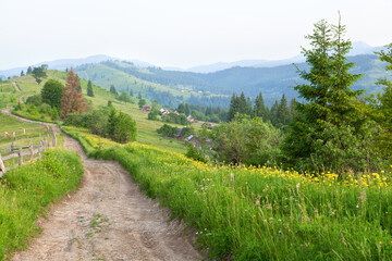 Fototapeta na wymiar View of the mountain village from the road on top of the mountain range. Carpathians.