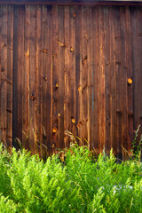 Wall of brown planks with many knots and green grass underneath. Vertical image.