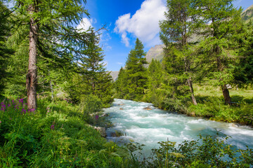 Alpine river full of water on the Swiss Alps