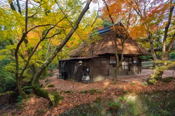 Foto auf Acrylglas Cappuccino Idyllic landscape of Nara, Japan in autumn season