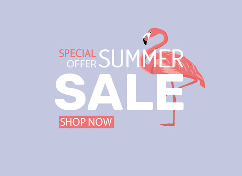 Summer sale banner with  flamingo. Design for banner, flyer, invitation, poster, web site or greeting card. Vector illustration