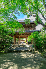 夏の功山寺　山門　山口県下関市　Kozanji temple in summer Yamaguchi-ken Shimonoseki city