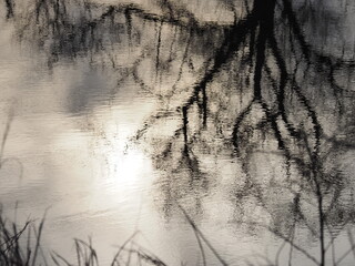 Obraz premium 水面（Water surface）