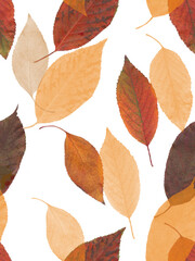 Cherry autumn leaves watercolor on white background seamless pattern for all prints.