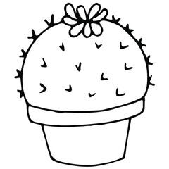 round cactus in a pot with a flower and needles, vector illustration in doodle style with black outline, coloring book