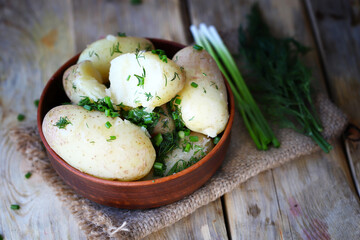 Fresh young potatoes with herbs in a bowl. Slavic dishes.
