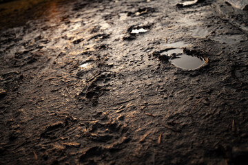 
mud with footprints against the sunset background