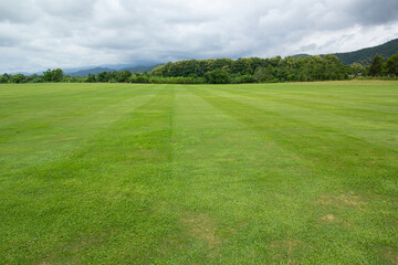 Landscape of green grass field and sky with Mountain