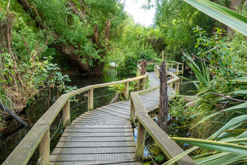 ニュージーランドのクライストチャーチの観光名所を旅行している風景 Scenes from a trip to the sights of Christchurch, New Zealand.