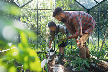 Happy young father with small daughter working outdoors in backyard, gardening and greenhouse...