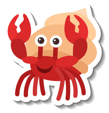 Cute hermit crab cartoon sticker