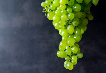 Ripe green sultana raisin with water drops. Fresh grapes on the dark background. Minimalistic...