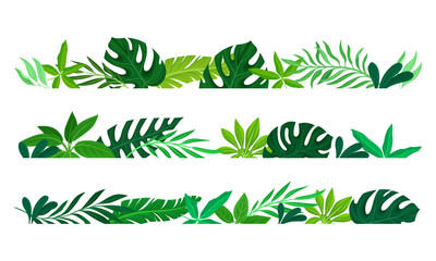 Summer tropical leaves borders set. Rainforest foliage frame template. Invitation, greeting card, postcard design vector illustration