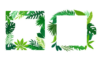 Summer tropical leaves frame set. Frames of square shape with palm leaves, invitation, greeting card, postcard design vector illustration