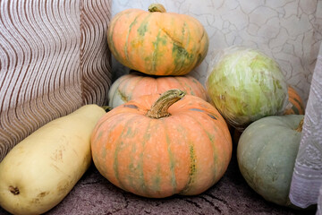 Several large pumpkins are lying on the floor. Storing vegetables