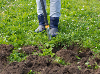 woman digs a hole for a tree in the garden of a country house.