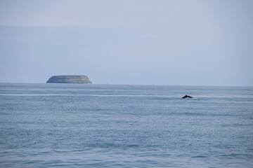 Obraz premium boat on the sea