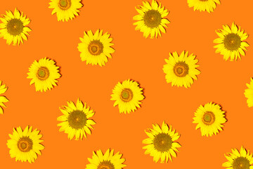 Stunning sunflowers pattern on orange background. Flat lay.