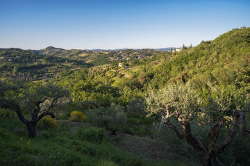 Panorama of countryside into Umbria