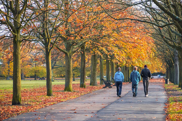 Unidentified people strolling at Greenwich hill in London, England during autumn