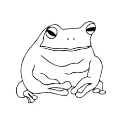 Isolated vector image illustration design of black and white lined frog