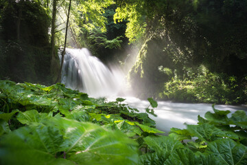 waterfall in the forest, Cascate delle Marmore