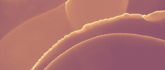 Ink Golden Pattern. Brown Luxury Splash. Orange