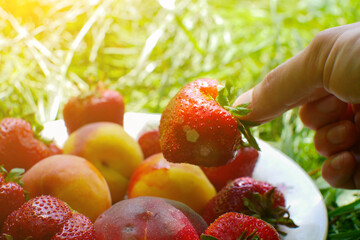 Man take Strawberries and peaches from a plate on the green grass. Delicious and fresh summer fruits. Healthy vegetarian food with vitamins.
