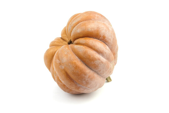 Pumpkin isolated on white background. Single whole ribbed pumkin