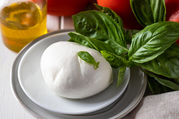 Close up of Mozzarella cheese on white plate.