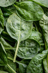 vista superior de un montón de espinacas