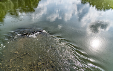 Stromschnelle in der Donau