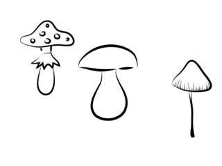 mushrooms