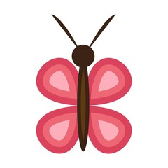 Butterfly icon. Vector illustration. Colorful Butterfly logo.