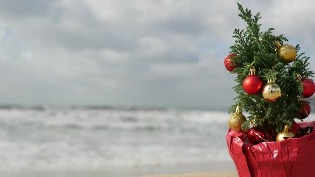Christmas tree on sandy sea beach, New Year on ocean coast, Xmas in California. Decor from pine or fir tree, winter holidays in USA. Festive decoration, waves and seascape.