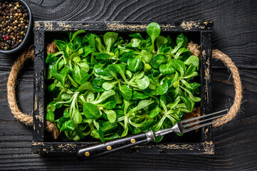 Fresh green lambs lettuce salad leaves on a wooden tray. Black wooden background. Top view