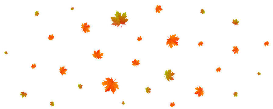 red and yellow leaf background