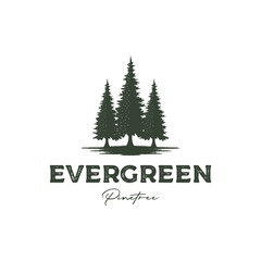 vintage retro hipster pine tree evergreen logo design vector