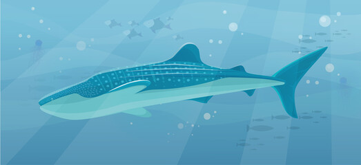 Underwater landscape with large predatory marine fish. Whale swimming in ocean, bottom of sea. Humpback whale and marine life in salty sea water. Aquatic world, ocean floor with algae and corals