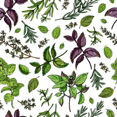 Seampless pattern vector color food. Basil, Parsley, Rosemary, Sage, Bay, Thyme, Oregano, Mint