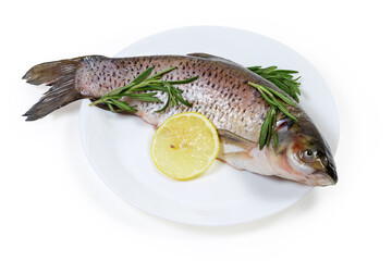 Raw grass carp prepared for cooking, rosemary, lemon on dish