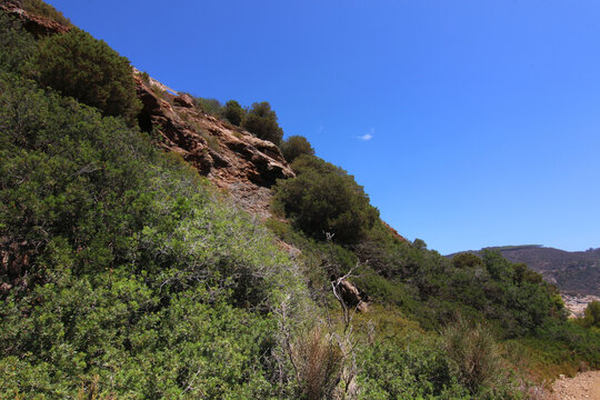 Affioramenti rocciosi ricchi in ferro tra la vegetazione spontanea dell&rsquo;Isola d&rsquo;Elba, Toscana, Italia