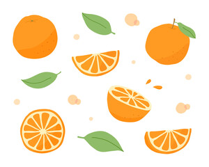 オレンジの手描きイラストのセット　フルーツ　果物　柑橘系　シトラス　夏　ミカン　果実　断面