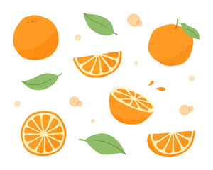 オレンジの水彩イラスト 断面 みかん 果物 フルーツ 柑橘類 フレッシュ かわいい Citrus Fruit Wall Mural Citrus Fru Yugoro