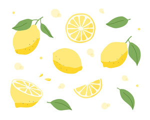 レモンの手描きイラストのセット　フルーツ　果物　柑橘系　シトラス　夏　かわいい　果実　断面