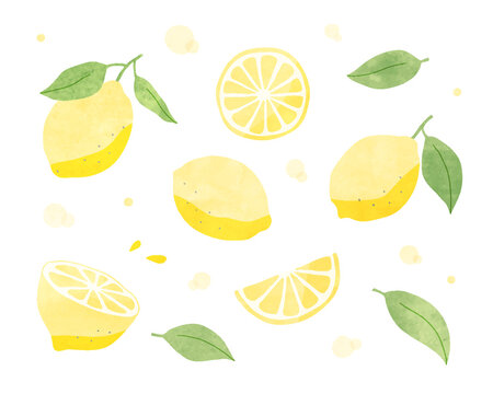 3 786 Best 柑橘系 Images Stock Photos Vectors Adobe Stock