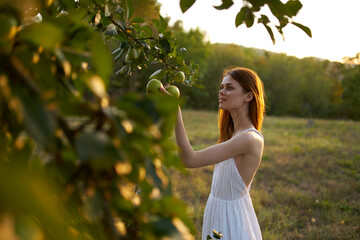 red-haired woman in a field near apple-tree fruits