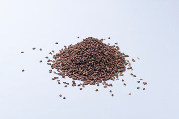 Black Sesame seeds, Sesamum indicum, Satara, Maharashtra, India